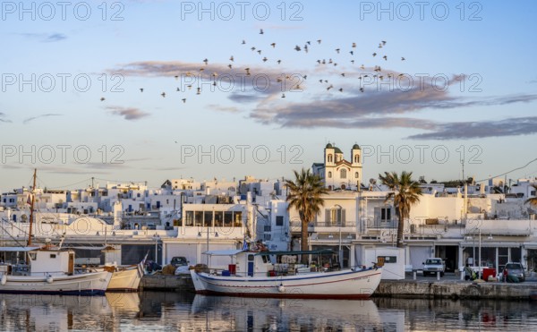 View of Naoussa, Fishing boats in the harbour at sunset, reflected in the sea, White Cycladic