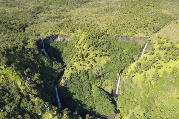 Aerial view Kahili Falls (Five Sisters Falls), Hanapepe Valley, Kauai, Hawaii, USA, North America