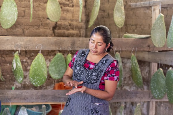 Teotitlan del Valle, Oaxaca, Mexico, Rural women in the Tlacolula Valley of Oaxaca benefit from a
