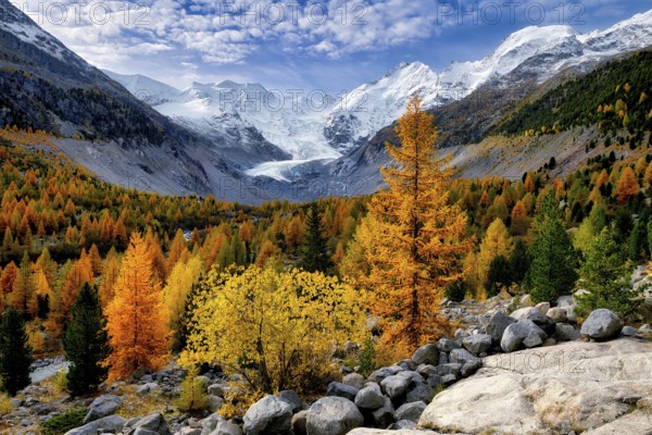 Autumn-coloured valley at dawn, Morteratsch, Engadin, Canton Graubünden, Switzerland, Europe