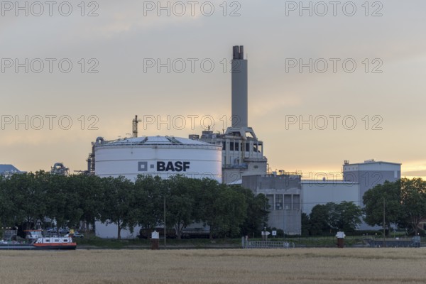 BASF, Lugwigshafen am Rhein, industrial area, dusk, fields, Mannheim, Baden-Württemberg, Germany,