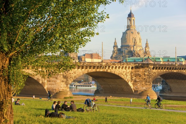 Dresden Elbe meadows in spring
