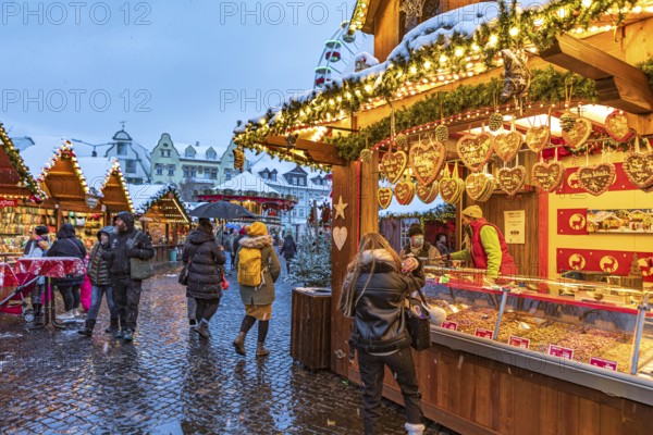 Christmas market on the cathedral square in Erfurt, Thuringia, Germany, Europe
