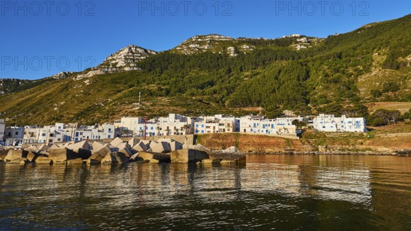 Concrete breakwater, White houses, Wooded hillside, Mountain, Morning light, Marettimo village,