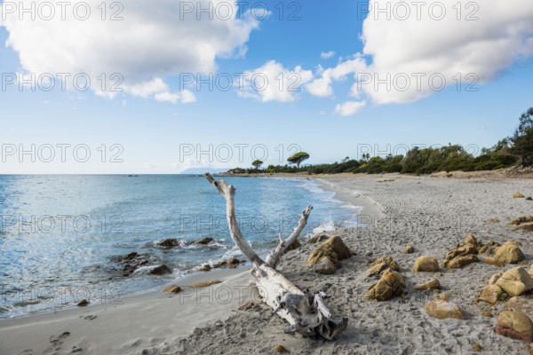 Lonely beach, Spiaggia di Biderosa, Riserva Biderosa nature reserve, Orosei, Nuoro province, east