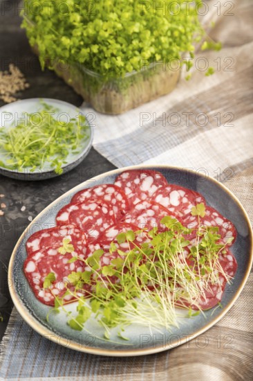 Slices of smoked cervelat salami sausage with spinach microgreen, salt and pepper on black concrete