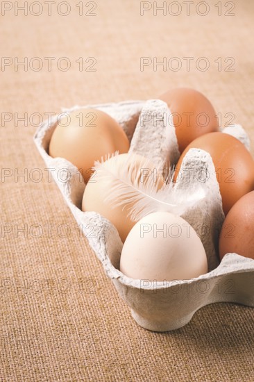 Frische Eier, in Pappbehältern, Wagen, braun