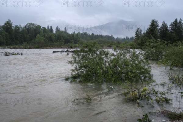 Flood, continuous rain, river, rain, flooding, Upper Bavaria, force of nature, climate, climate