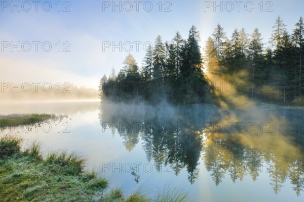 Rays of sunshine make their way through forest and fog at the mirror-smooth moorland lake Étang de