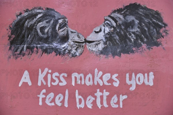 Sign at the entrance to the Tacugama Chimpanzee Sanctuary, a chimpanzee conservation project,