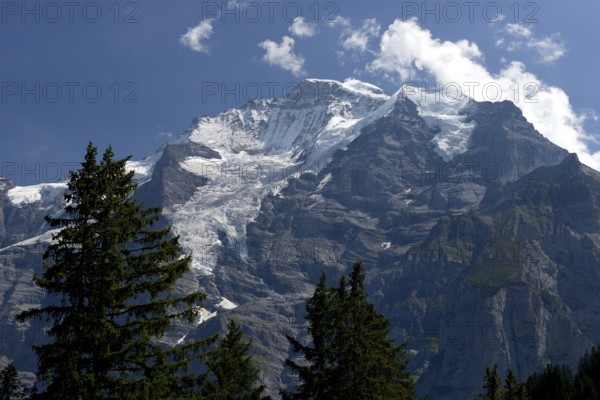 Mount Jungfrau (4158 m), part of the Eiger-Mönch-Jungfrau triumvirate, Bernese Oberland, Canton