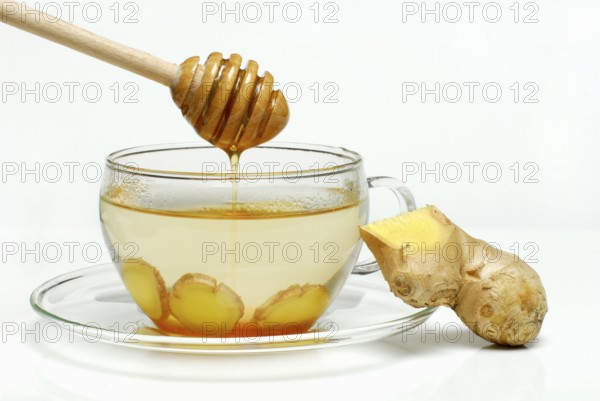 Ginger tea with honey, and Ginger (Zingiber officinale) ginger