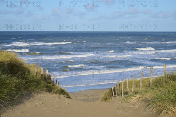 Beach access, sand dune, sea, dune grass, wind, clouds, Zandvoort, North Sea, North Holland,
