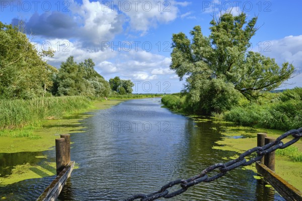 Picturesque river landscape, view from the heritage-protected wooden bascule bridge over the Trebel