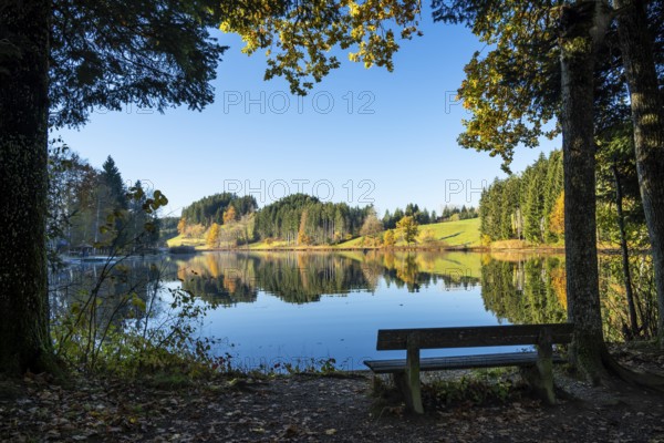 The Hengelesweiher pond in the Hengelesweiher nature reserve in autumn. The lake is surrounded by