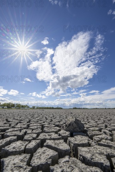 Cracked earth, heavily dried out Zicksee, Lake Neusiedl-Seewinkel National Park, Burgenland,