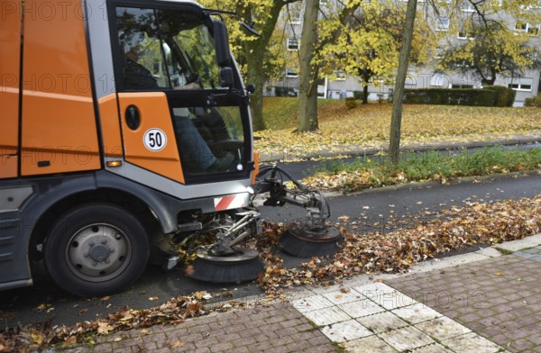 Sweeper sweeping wilted leaves in autumn, Vellmar, Hesse, Germany, Europe