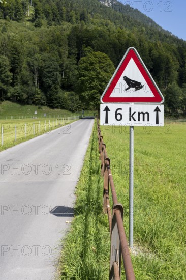 Traffic sign Attention toad migration on 6 km, Switzerland, Europe