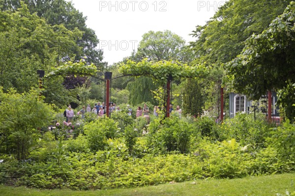 Botanical Garden, Gothenburg, Västra Götalands län, Sweden, Europe