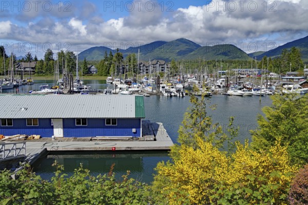 Small boat harbour in spring, good weather, Ucluelet, Pacific Rim National Park, Vancouver Island,
