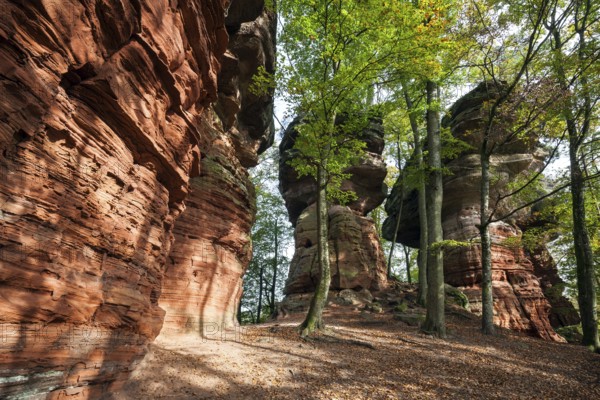 Old castle rock, red sandstone rock formation, natural and cultural monument, Brechenberg near