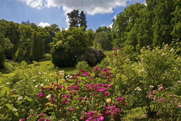 Rose Island in Bergpark Wilhelmshöhe, UNESCO World Heritage Site, Kassel, Hesse, Germany, Europe