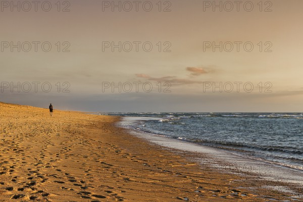 Coastline, lonely walker on beach, enjoying evening light, Soustons Plage, Silver Coast, Côte