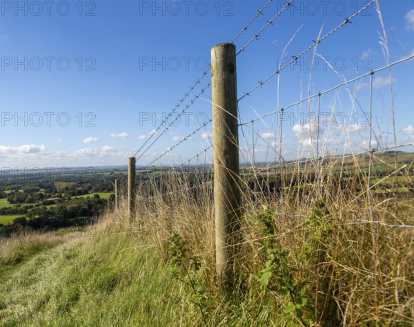 Low angle view fence posts Vale of Pewsey, Pewsey Vale, Martinsell Hill, Oare, Wiltshire, England,