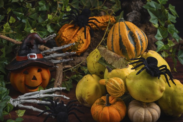 Halloween still life with quinces, pumpkins, spiders and a pumpkin with a witch's hat