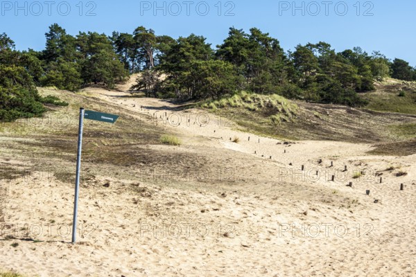 Sand dune Klein Schmoelen near Elbe river, located between Doemitz and Lenzen, Elbe biosphere