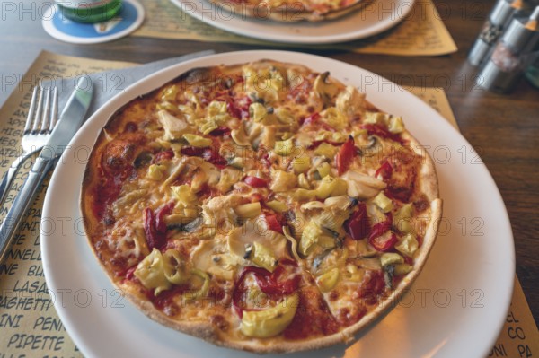 Pizza Vegetaria served in the restaurant, Bavaria, Germany, Europe