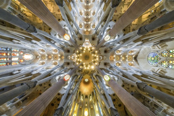Vaulted ceiling, columns, Sagrada Familia, Basilica by Antoni Gaudi, Barcelona, Catalonia, Spain,