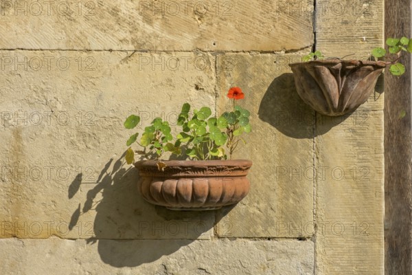 Flower decoration in terracotta pots on an old sandstone wall, North Rhine-Westphalia, Germany,