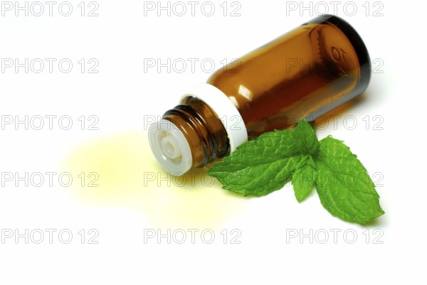 Peppermint oil (Mentha peperita) , Peppermint oil, Aromatherapy, Essential oil