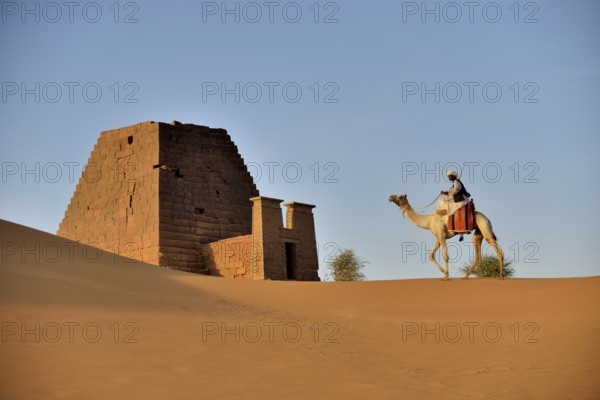 Man riding a dromedar in front of a pyramid of the northern cemetery of Meroe, Nubia, Nahr an-Nil,