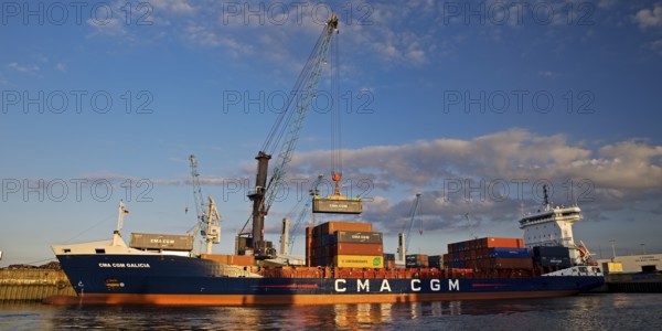 Container ship loading in Steinwerder Harbour at the South-West Terminal, Norderelbe, Hamburg,