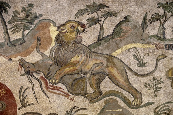 Floor mosaic of a lion tearing an antelope, corridor of the great hunt, Villa Romana del Casale,