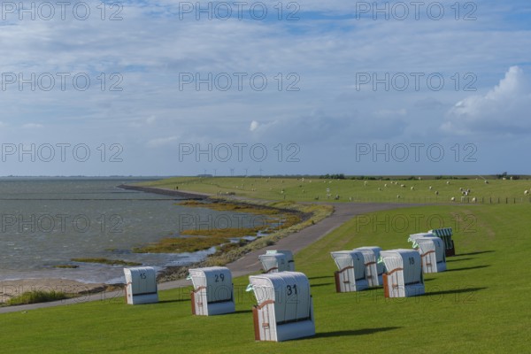 Beach chairs on the North Sea dike, flock of sheep, Fuhlehörn, Nordstrand peninsula, North Sea,