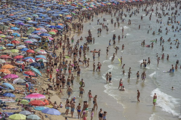 Tourists at Playa de Levante, Benidorm, Alicante, Costa Blanca, Spain, Europe