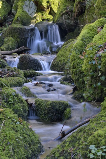 Gaishöll Waterfalls, near Sasbachwalden, Black Forest, Baden-Württemberg, Germany, Europe