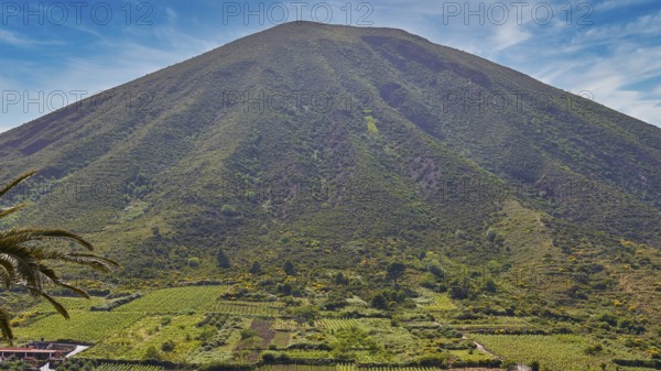 Green volcanic mountain, Monte dei Porri, vineyards, fields, sky exchanged, Valdichiesa, Salina,