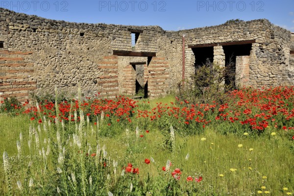 Ruins of a mansion, ancient city of Pompeii, Campania, Italy, Europe