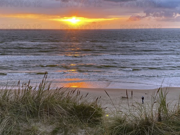 Sunset over the sea with waves on a sandy beach, framed by tufts of grass in the foreground,