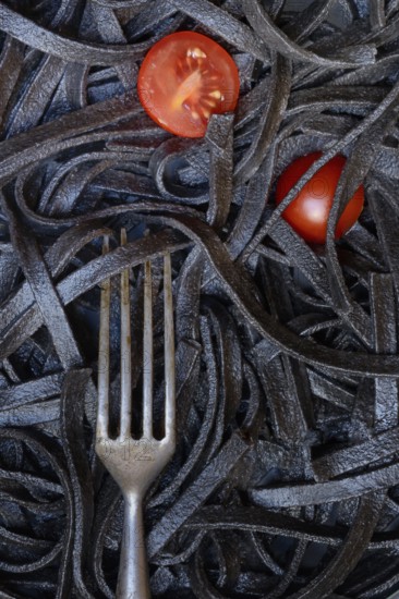 Black pasta coloured with squid ink and fork, Taglioni al Nero di Seppia, Italy, Europe