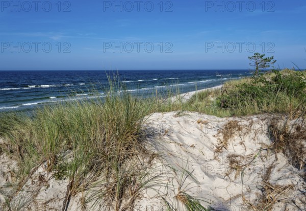 Dune landscape on the Polish Baltic coast in the Slowinski National Park, part of the UNESCO