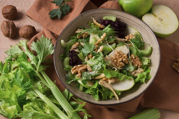 Fresh, Waldorf salad, celery stalk with chicken, apple and walnut, grapes, herbs, homemade, no