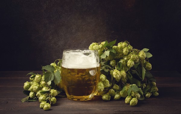 A mug of beer, on a wooden table, with a branch of fresh hops, rustic, no people