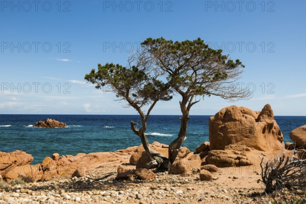 Red rocks and sea, Spiaggia di Coccorocci, near Tertenia, Province of Ogliastra, Sardinia, Italy,