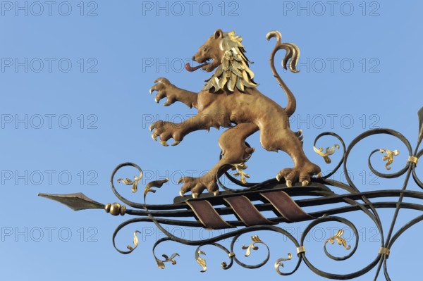 Inn sign Goldener Löwe, historic old town, Bad Waldsee, Upper Swabia, Baden-Württemberg, Germany,