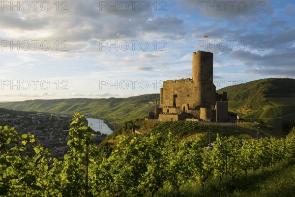Landshut Castle, sunset, Moselsteig Trail, Bernkastel-Kues, Moselle, Rhineland-Palatinate, Germany,